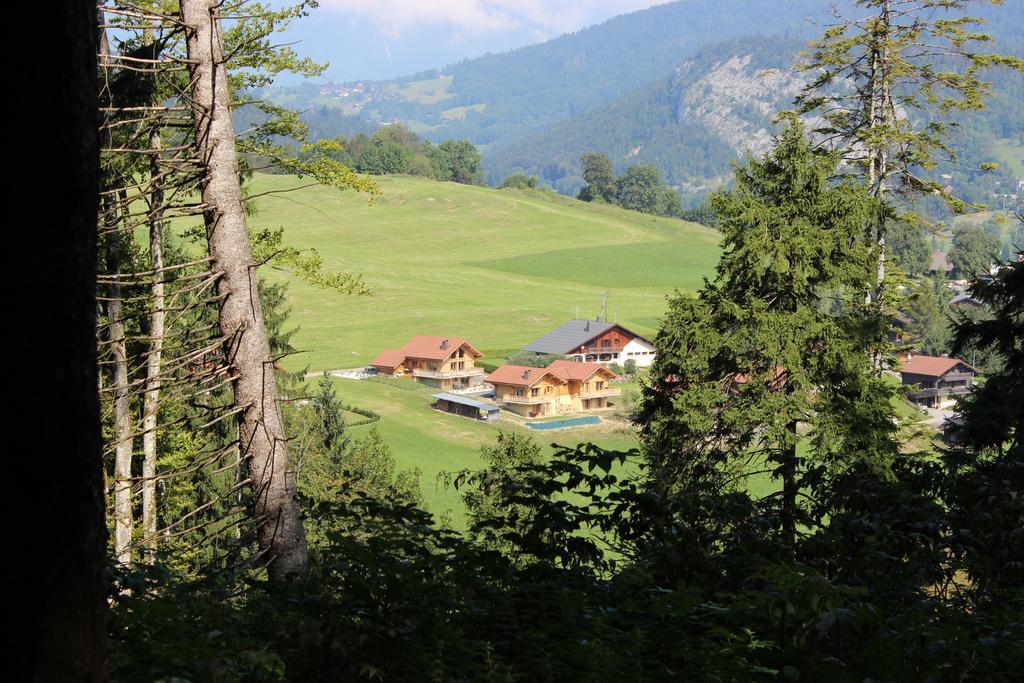 Le Chalet D'Ulysse Araches-la-Frasse Экстерьер фото