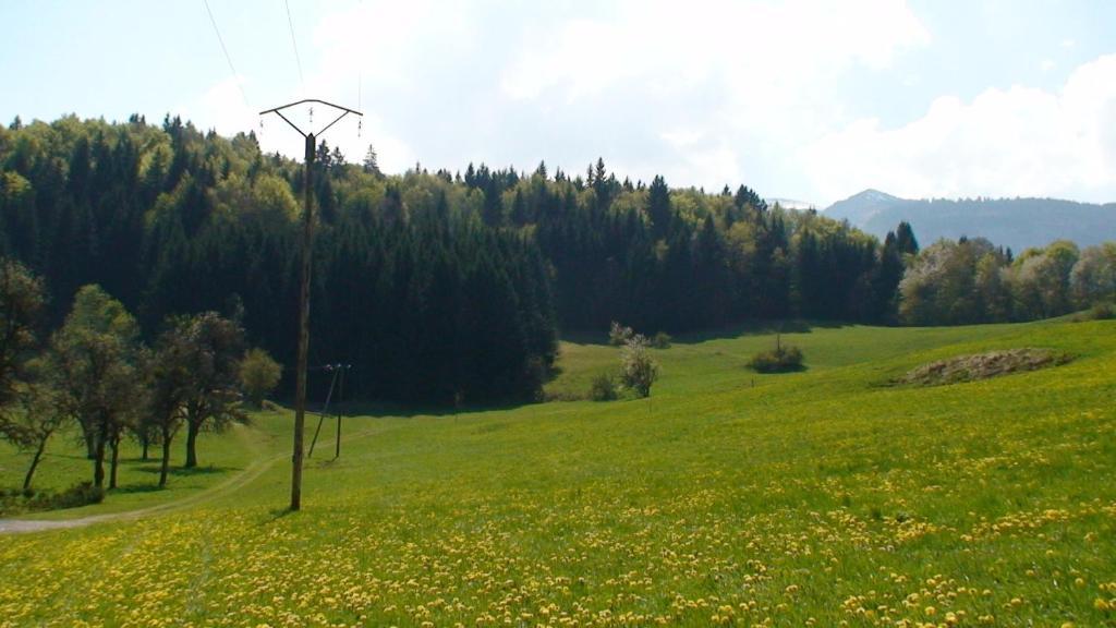 Le Chalet D'Ulysse Araches-la-Frasse Экстерьер фото