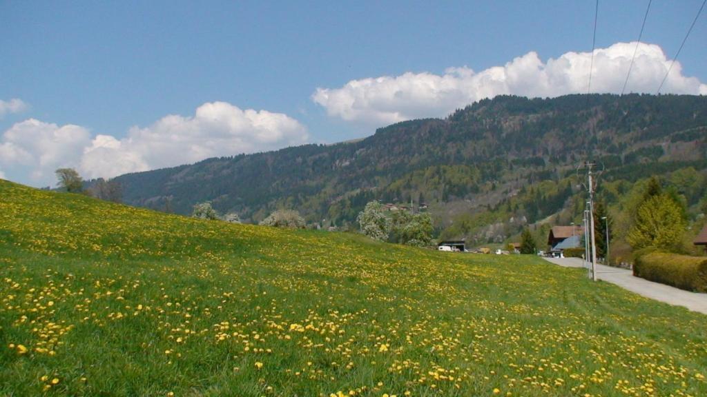 Le Chalet D'Ulysse Araches-la-Frasse Экстерьер фото